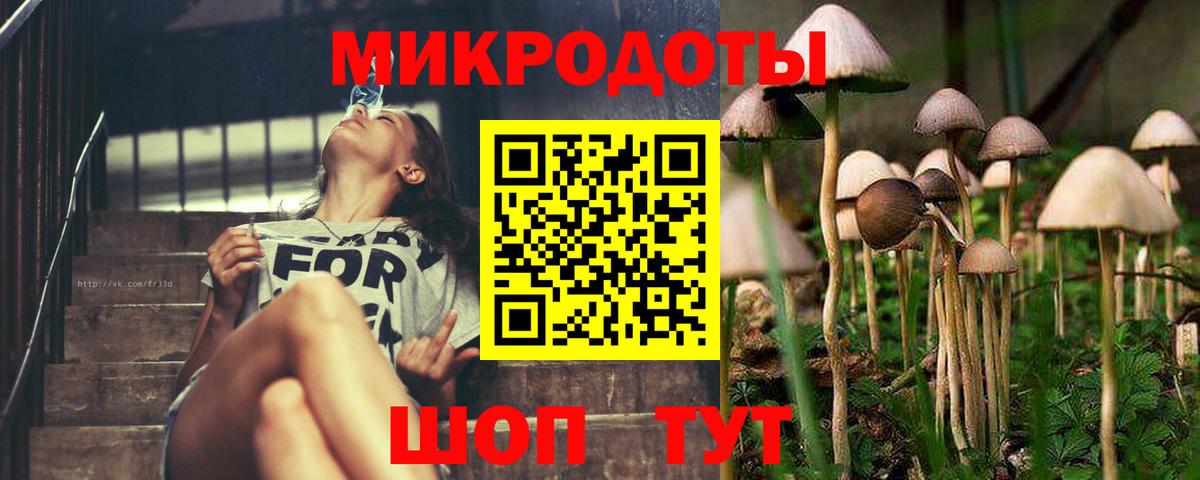 Псилоцибиновые грибы Cubensis  Вход с VPN  Псилоцибиновые грибы мухоморы  Минеральные Воды 